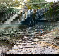 Paronella Park and Millaa Millaa Falls Full-day Tour from Cairns - Accommodation Nelson Bay