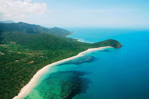 Cape Tribulation, Mossman Gorge, And Daintree Rainforest Premium Day Tour - Accommodation Nelson Bay 2