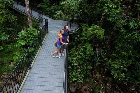 Cape Tribulation, Mossman Gorge, And Daintree Rainforest Premium Day Tour - Accommodation Nelson Bay 3