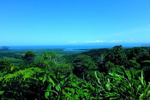 Cape Tribulation, Mossman Gorge, And Daintree Rainforest Premium Day Tour - Accommodation Nelson Bay 5