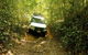 Barron Gorge And Kuranda National Park Half Day Rainforest And Waterfall 4WD Tour From Cairns - thumb 2