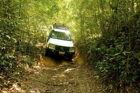 Barron Gorge And Kuranda National Park Half Day Rainforest And Waterfall 4WD Tour From Cairns - Accommodation Nelson Bay 2