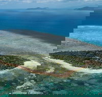 4-Day Cairns with Great Barrier Reef and Daintree Rainforest - Accommodation Nelson Bay
