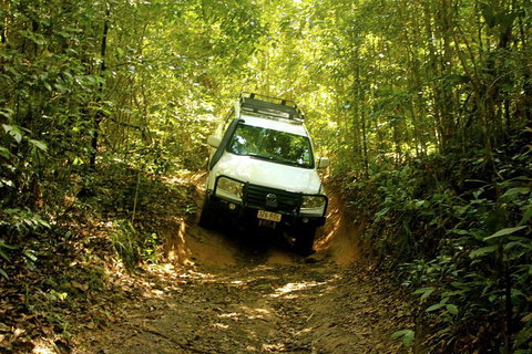 Cairns National Park Rainforest And Waterfall Small Group Tour Shore Excursion - Accommodation Nelson Bay 0