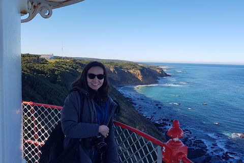 Great Ocean Road Full Day Private Experience - Accommodation Nelson Bay 1