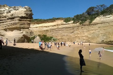 Great Ocean Road Full Day Private Experience - Accommodation Nelson Bay 3