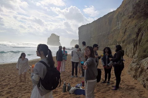 Great Ocean Road Full Day Private Experience - Accommodation Nelson Bay 4