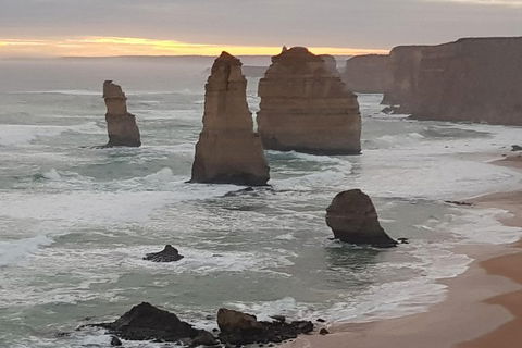 Private Express Experience - 12 Apostles - Accommodation Nelson Bay 1
