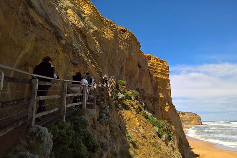 Private Express Experience - 12 Apostles - Accommodation Nelson Bay 3