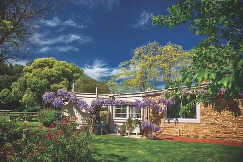 McLaren Vale Winery Small Group Tour With Wine Tasting And Lunch - Accommodation Nelson Bay 2