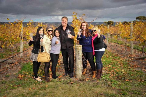 McLaren Vale Winery Small Group Tour With Wine Tasting And Lunch - Accommodation Nelson Bay 3