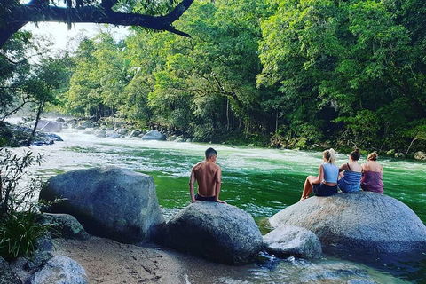 Afternoon Half-Day Daintree Rainforest And River Tour - Accommodation Nelson Bay 0