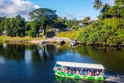Afternoon Half-Day Daintree Rainforest And River Tour - Accommodation Nelson Bay 1