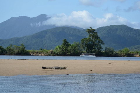 Afternoon Half-Day Daintree Rainforest And River Tour - Accommodation Nelson Bay 2