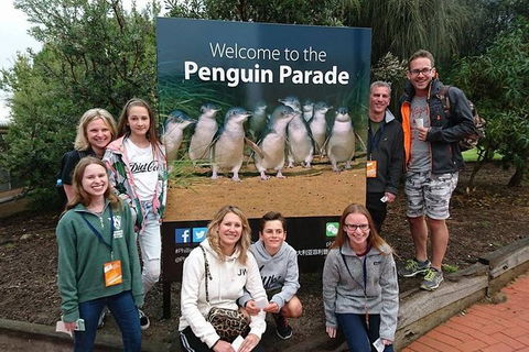 Phillip Island Medium Size Group Tour - Accommodation Nelson Bay 5
