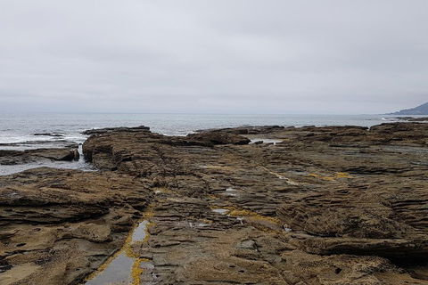 Luxury Private Great Ocean Road Tour Up To 11 People - Entire Vehicle - Accommodation Nelson Bay 1