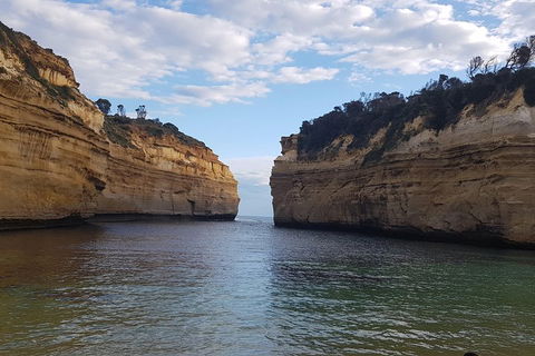 Luxury Private Great Ocean Road Tour Up To 11 People - Entire Vehicle - Accommodation Nelson Bay 2