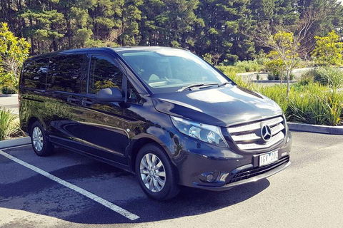 Luxury Private Great Ocean Road Tour Up To 11 People - Entire Vehicle - Accommodation Nelson Bay 3
