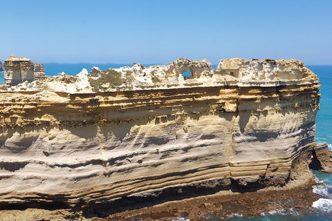 Luxury Private Great Ocean Road Tour Up To 11 People - Entire Vehicle - Accommodation Nelson Bay 4