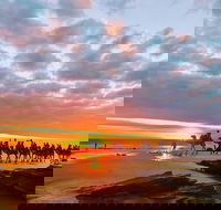 1 Hour Broome Sunset Camel Tour - Accommodation Nelson Bay