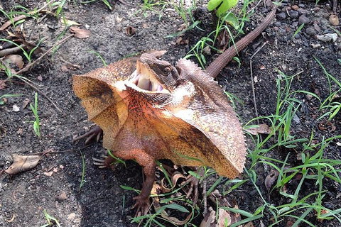 Litchfield National Park And Jumping Crocodile Cruise - Accommodation Nelson Bay 1