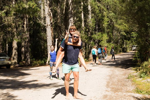 7-Day Best Of Tasmania Adventure Experience From Hobart (flexible Ticket) - Accommodation Nelson Bay 5