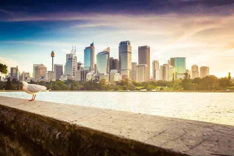 Private Sydney City And Bondi Beach Half Day Tour - Accommodation Nelson Bay 2