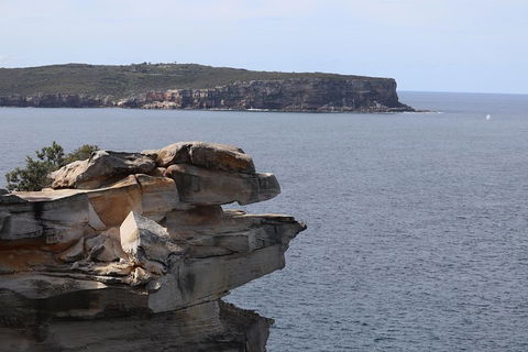 Private Sydney City And Bondi Beach Half Day Tour - Accommodation Nelson Bay 3