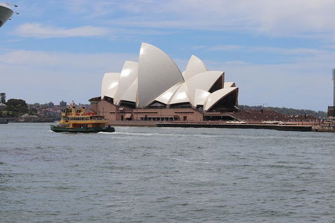 Private Sydney City And Bondi Beach Half Day Tour - Accommodation Nelson Bay 5