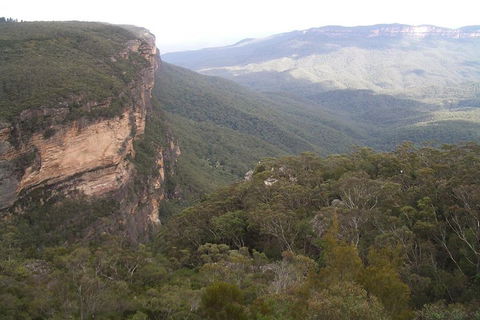 Full-Day Private Blue Mountains Tour With River Cruise - Accommodation Nelson Bay 3