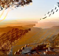 O'Reilly's  Lamington National Park incl. Alpaca Farm  Vineyard - Accommodation Nelson Bay