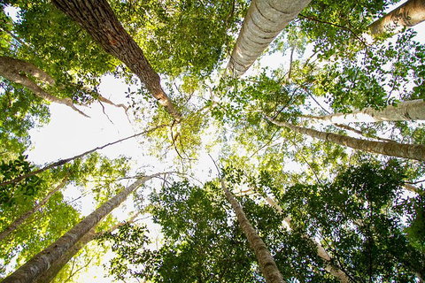 Fraser Island 4WD Tour From Noosa - Accommodation Nelson Bay 0