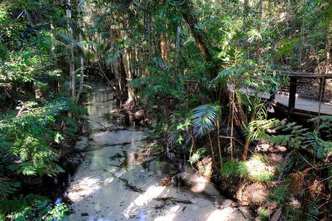 Fraser Island 4WD Tour From Rainbow Beach - Accommodation Nelson Bay 0