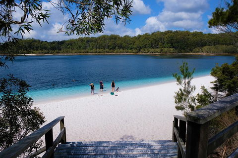 Fraser Island 4WD Tour From Rainbow Beach - Accommodation Nelson Bay 3