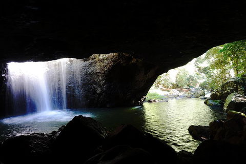 Rainforest & Waterfalls Extravaganza - Accommodation Nelson Bay 0
