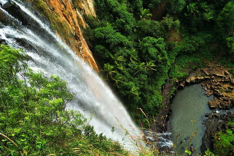 Rainforest & Waterfalls Extravaganza - Accommodation Nelson Bay 1