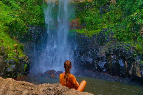 Rainforest & Waterfalls Extravaganza - Accommodation Nelson Bay 2