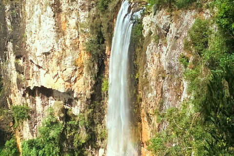Rainforest & Waterfalls Extravaganza - Accommodation Nelson Bay 3