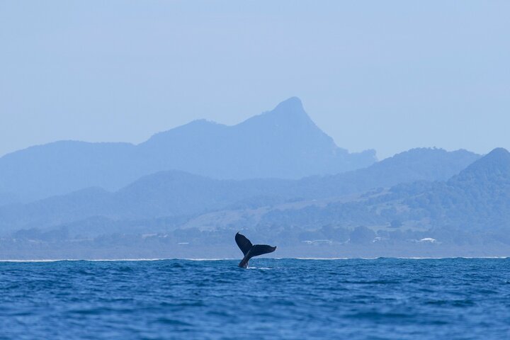  Accommodation Nelson Bay