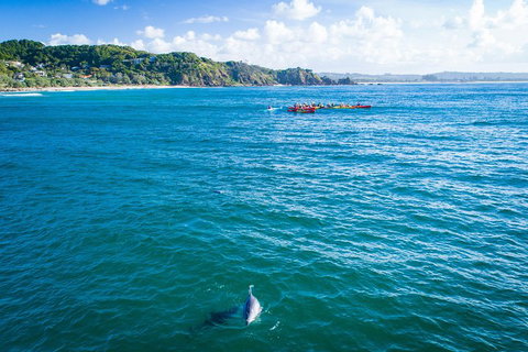 The Byron Bay Sea Kayak Tour - Accommodation Nelson Bay 2