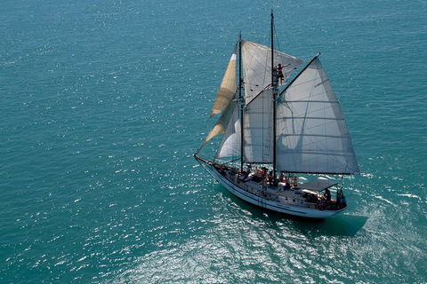 Whitehaven Beach Sailing And Snorkeling Cruise - Accommodation Nelson Bay 1