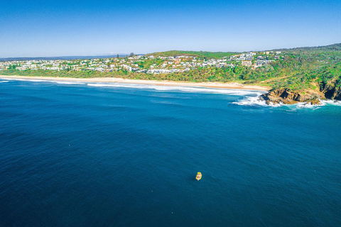 2-Hour Guided Whale Watching Tour At Noosa - Accommodation Nelson Bay 4