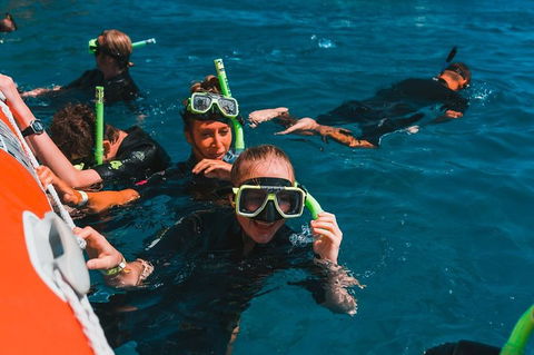 Whitehaven Beach And Hill Inlet Lookout Full-Day Snorkeling Cruise By High-Speed Catamaran - Accommodation Nelson Bay 3