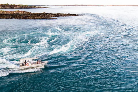Giant Tides Tour - Cygnet Bay Pearl Farm - Accommodation Nelson Bay 4
