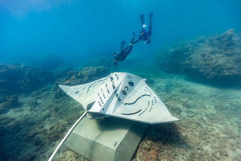 Premium Private Charter - Accommodation Nelson Bay 5