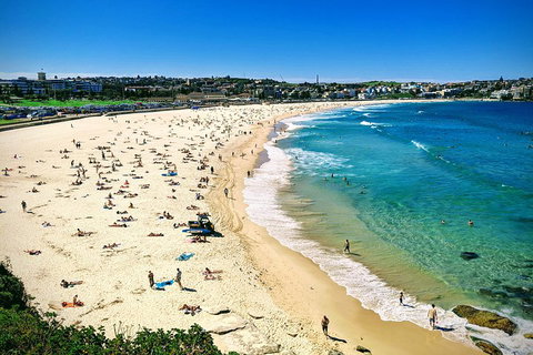 Sydney & Bondi Beach Plus Local Secrets With 'Personalised Sydney Tours' - Accommodation Nelson Bay 5
