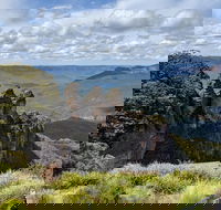 Blue Mountains Private Tour - wild kangaroos waterfalls and The Three Sisters - Accommodation Nelson Bay