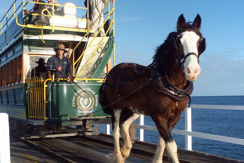 Full-Day Tour In South Australia Highlights - Accommodation Nelson Bay 1