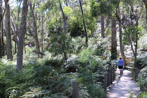 Self-Guided Waterfall Gully To Mount Lofty Hike From Adelaide - Accommodation Nelson Bay 2