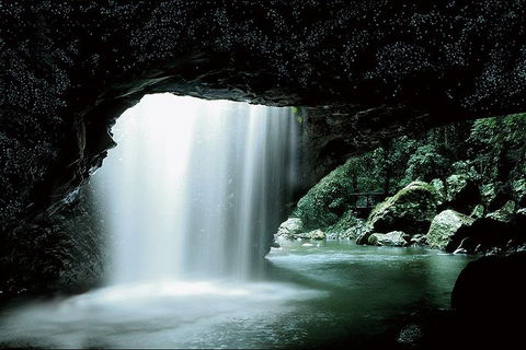 Natural Bridge Glow Worm Night Tour From Gold Coast - Accommodation Nelson Bay 0